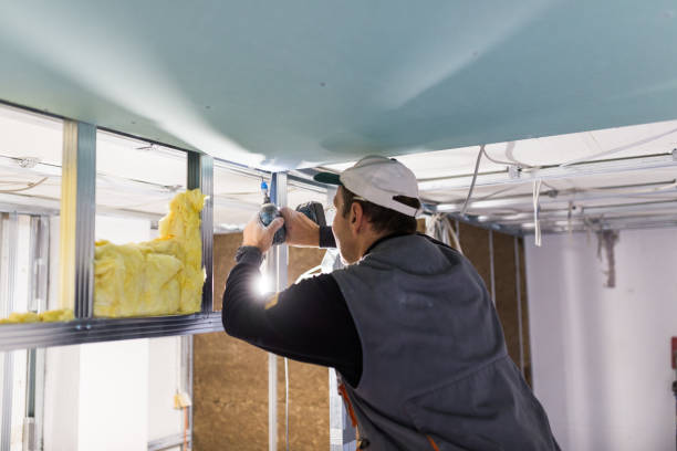 Best Insulation for New Construction  in Maple Park, IL