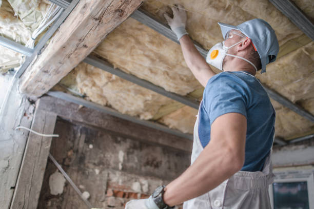 Best Blown-in Insulation  in Maple Park, IL